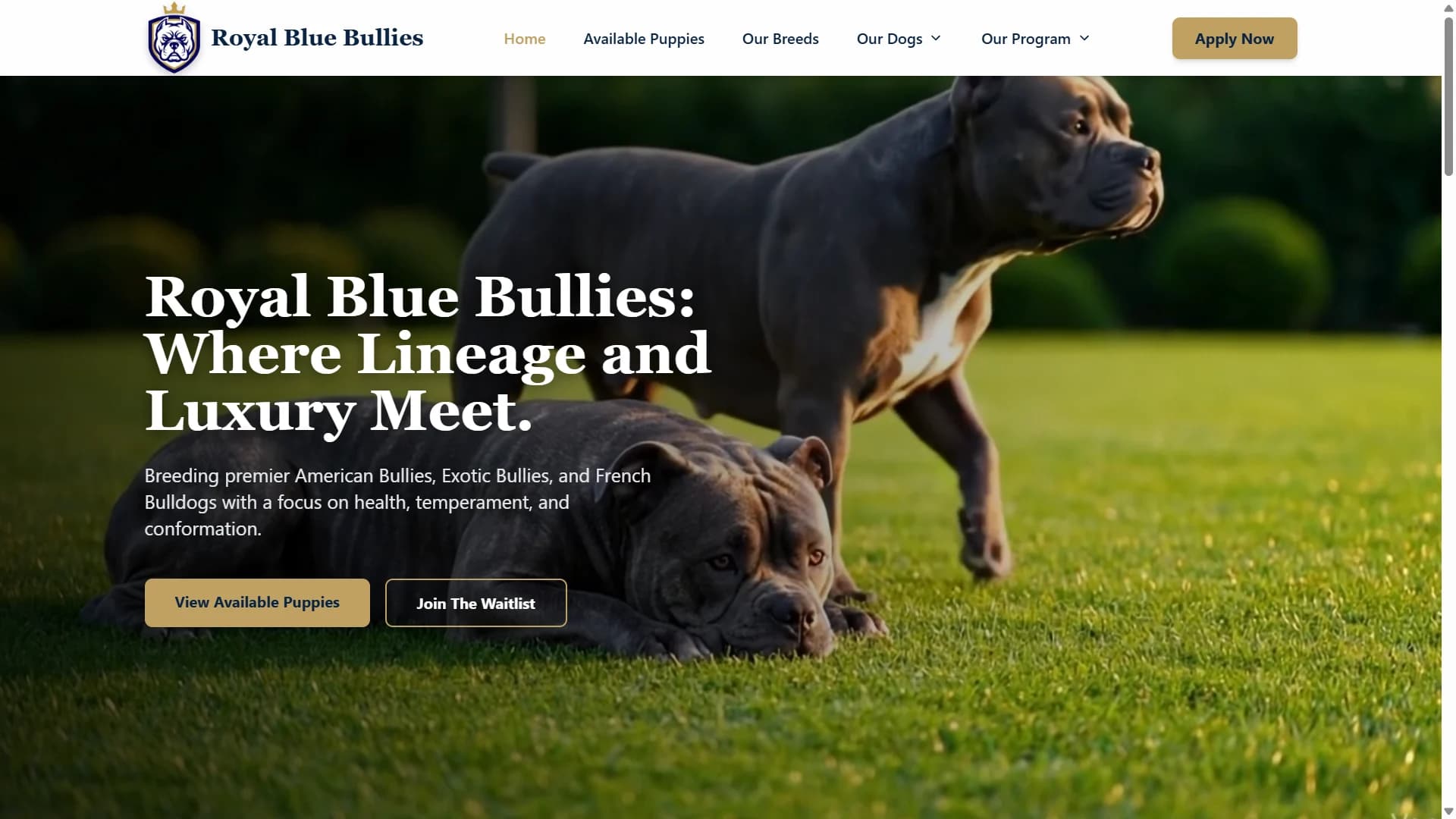 Royal Blue Bullies: The Digital Empire